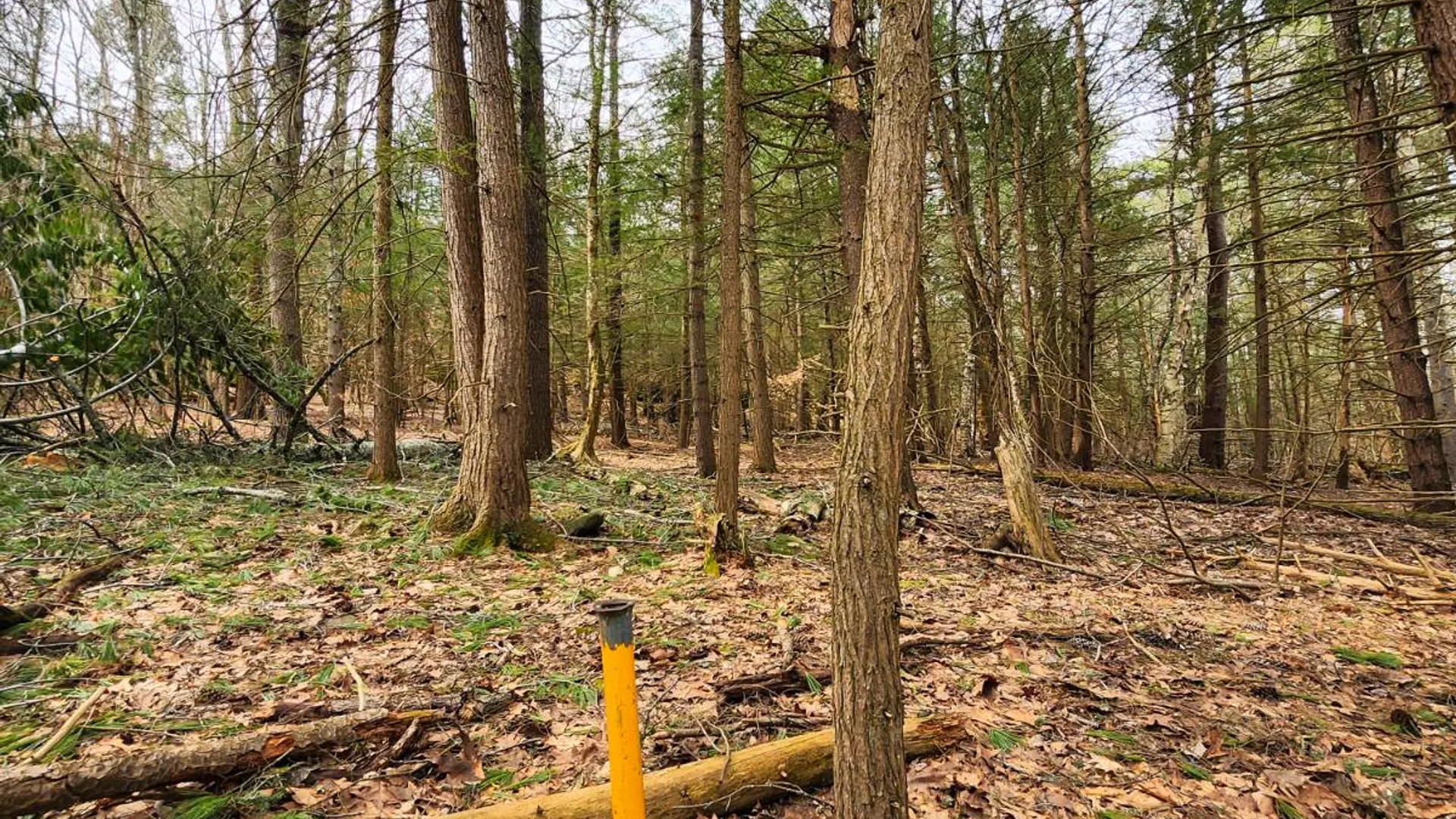 Property at 525 Meeghan Rd, Stamford, NY 12167 21