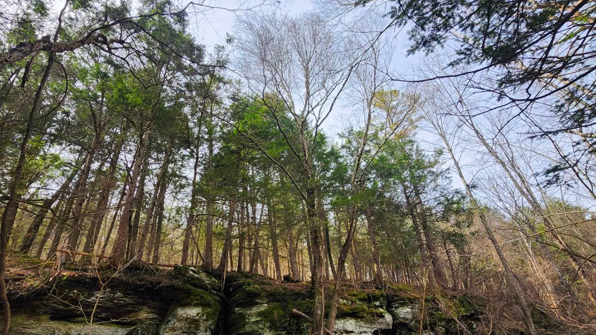 Property at 525 Meeghan Rd, Stamford, NY 12167 26