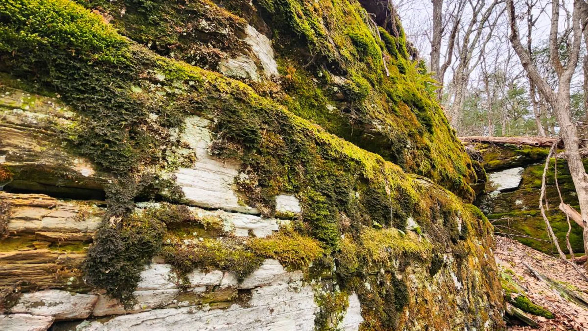 Property at 525 Meeghan Rd, Stamford, NY 12167 34