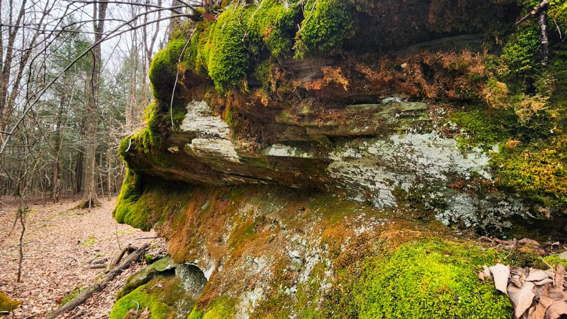 Property at 525 Meeghan Rd, Stamford, NY 12167 37