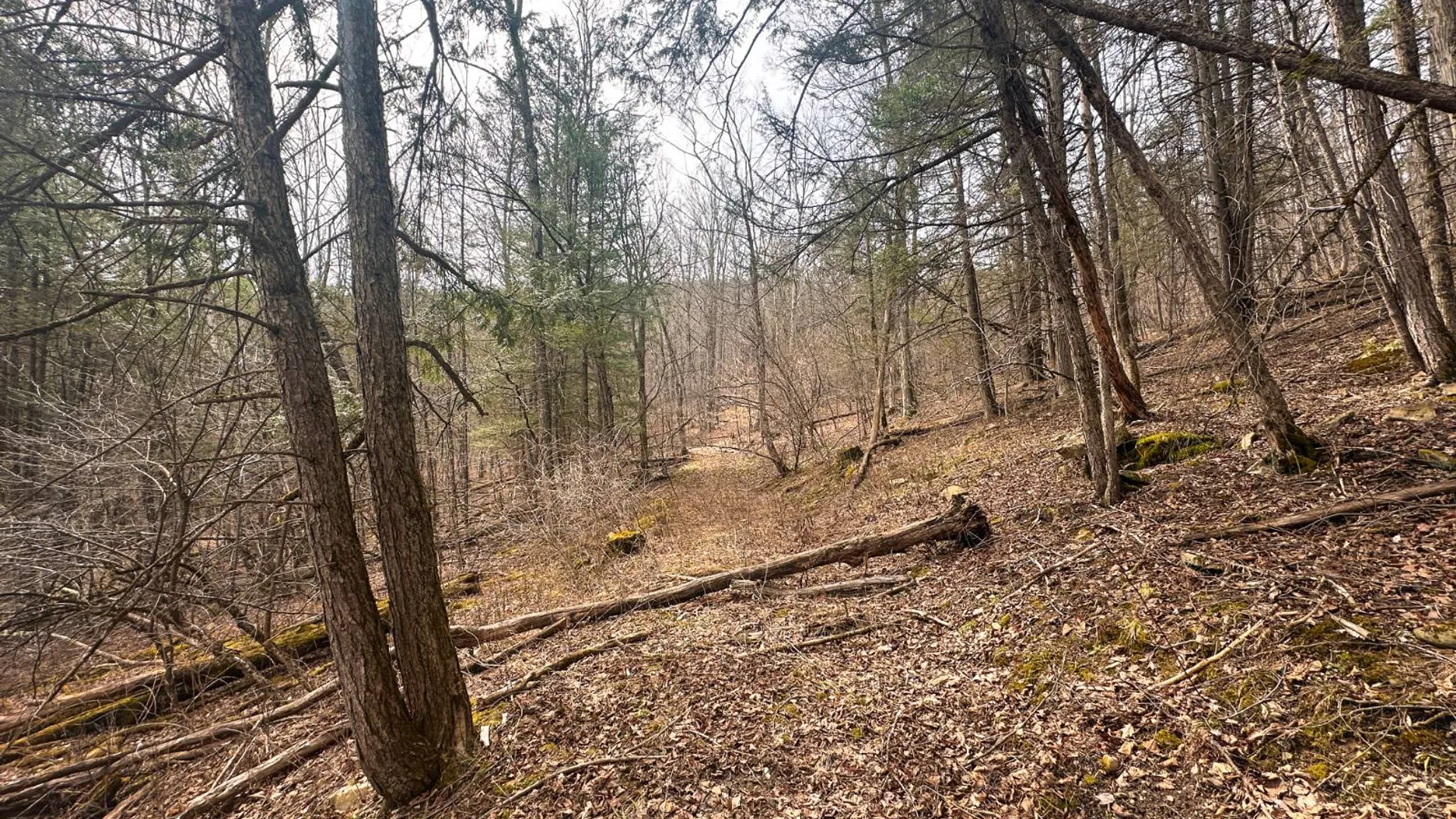 Property at 525 Meeghan Rd, Stamford, NY 12167 39