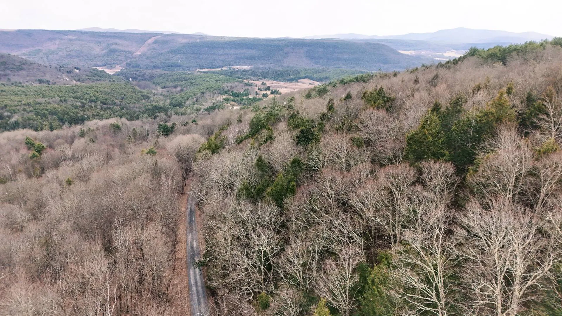 Property at 525 Meeghan Rd, Stamford, NY 12167 4