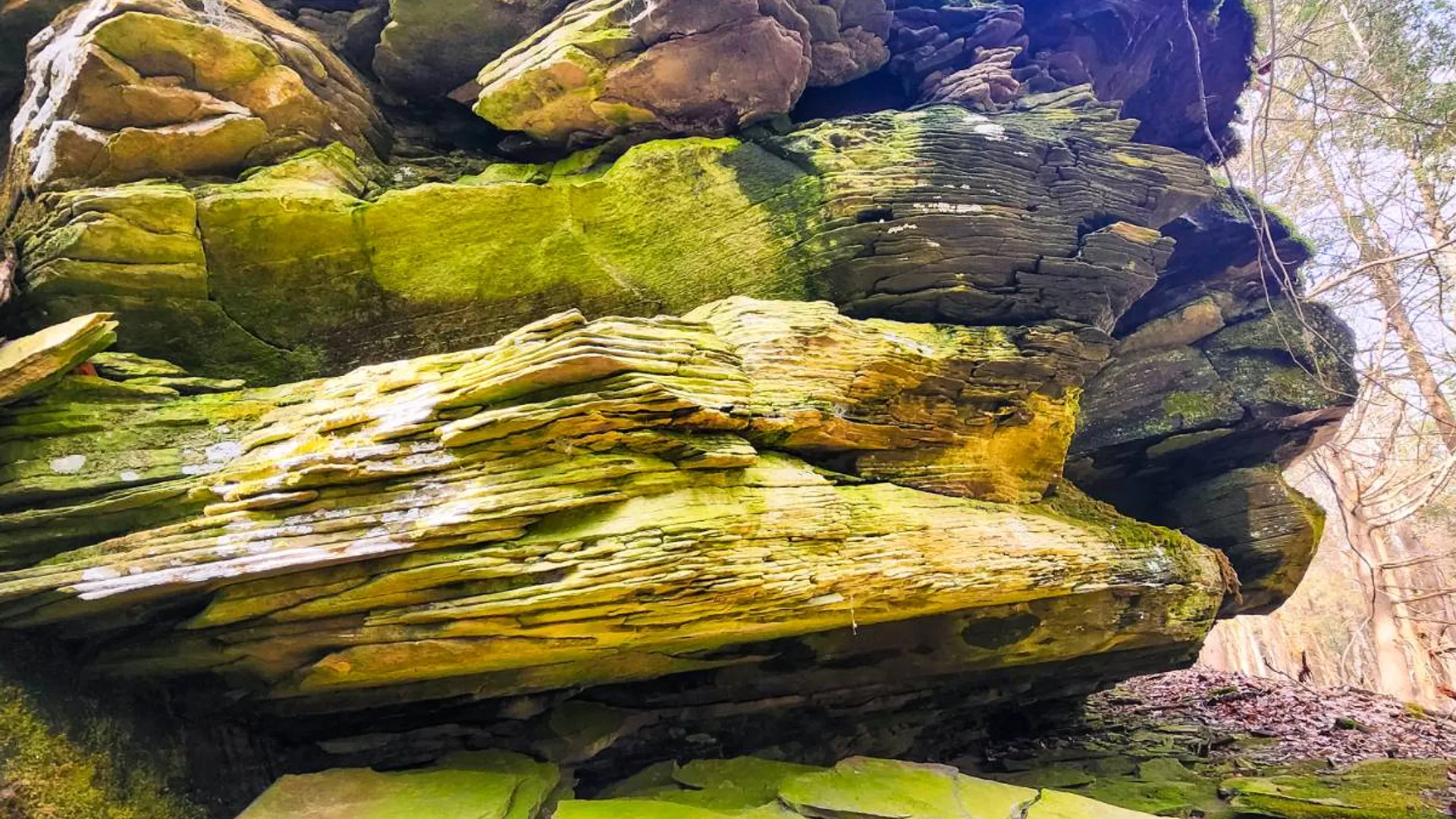 Property at 525 Meeghan Rd, Stamford, NY 12167 40