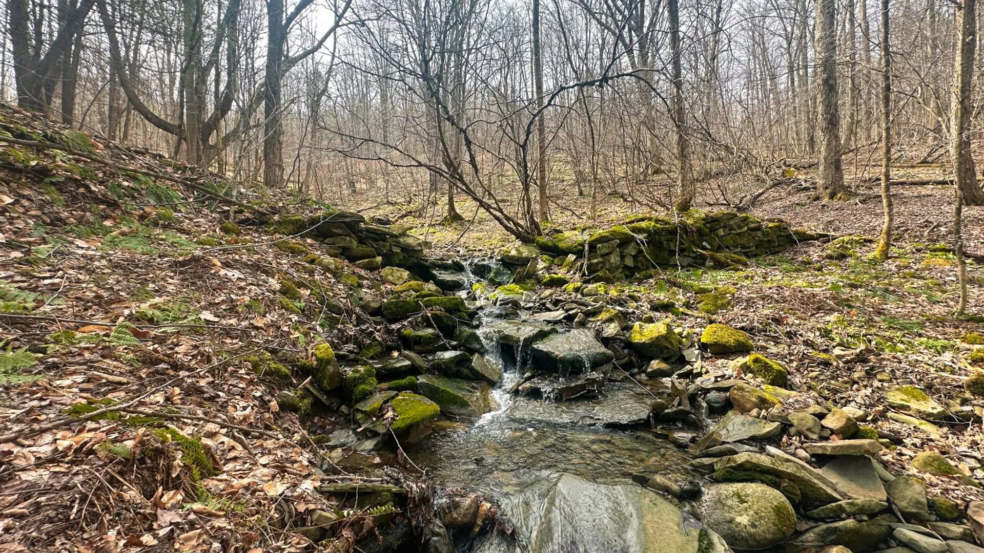 Property at 525 Meeghan Rd, Stamford, NY 12167 42