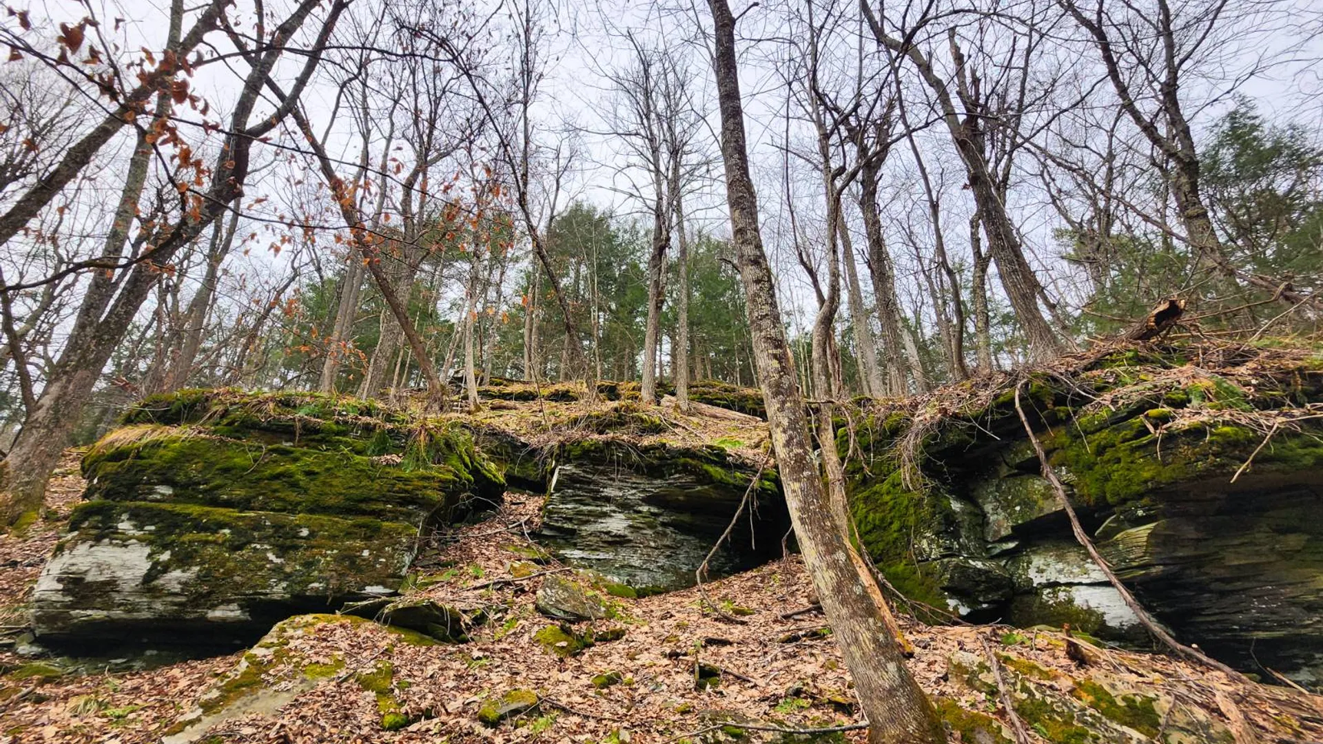 Property at 525 Meeghan Rd, Stamford, NY 12167 44