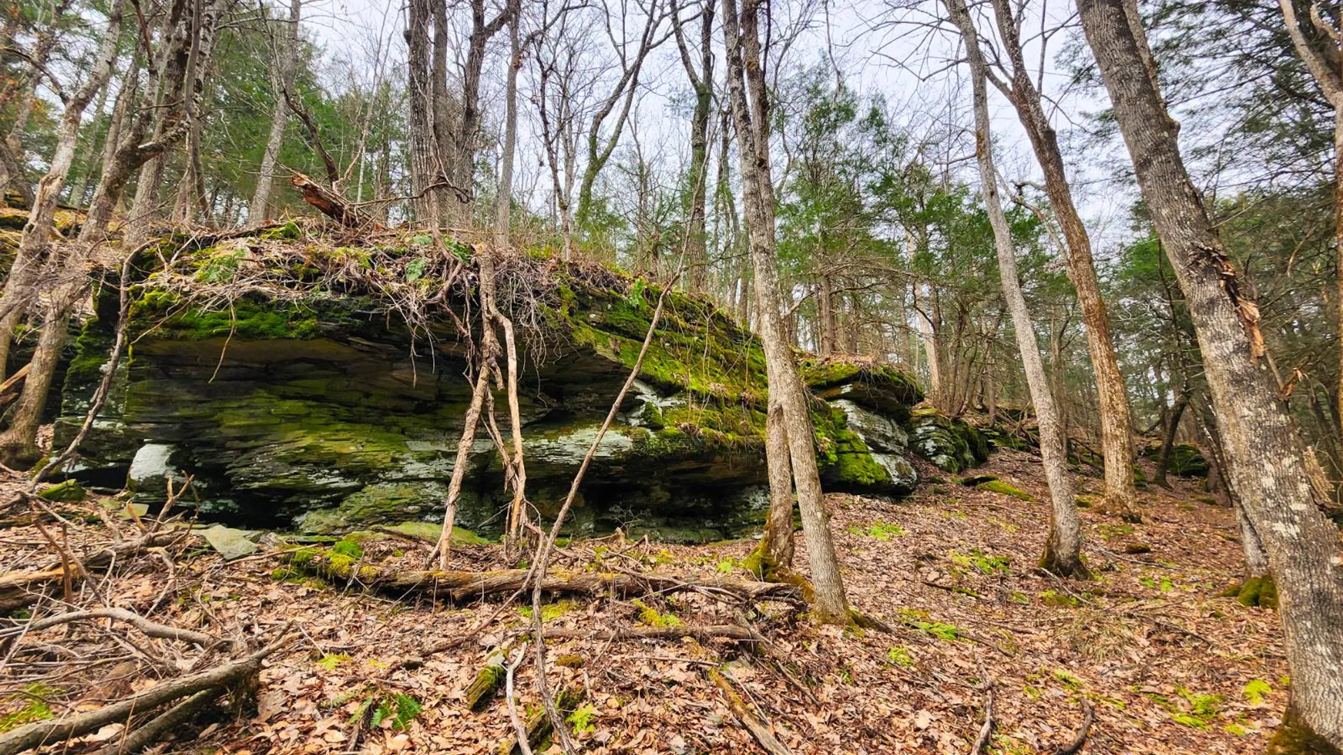 Property at 525 Meeghan Rd, Stamford, NY 12167 45