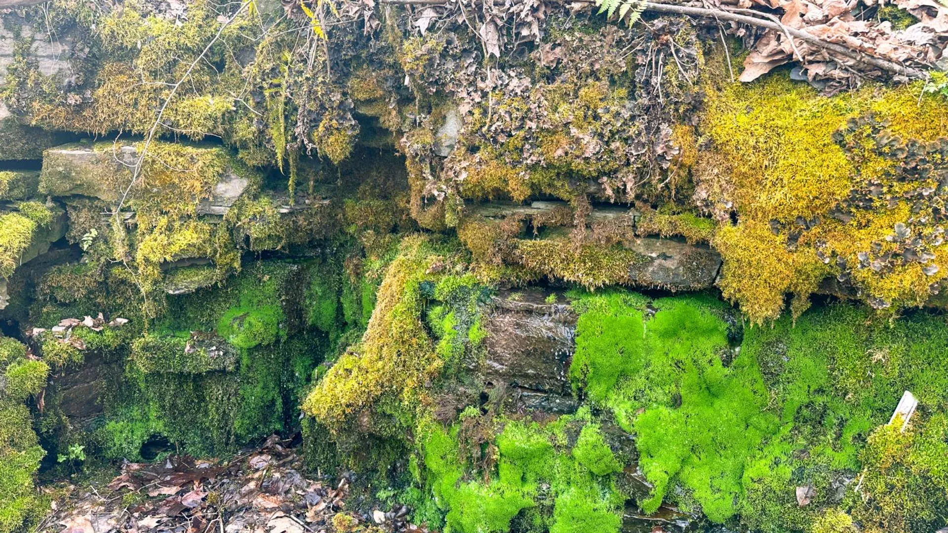 Property at 525 Meeghan Rd, Stamford, NY 12167 46