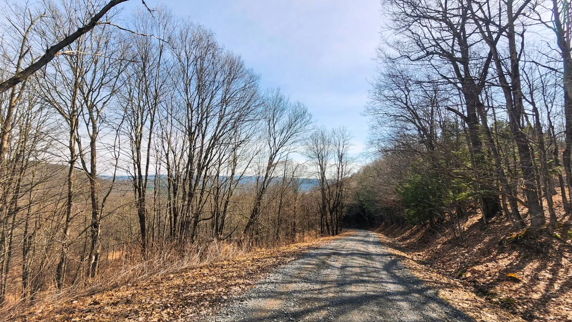 Property at 525 Meeghan Rd, Stamford, NY 12167 5