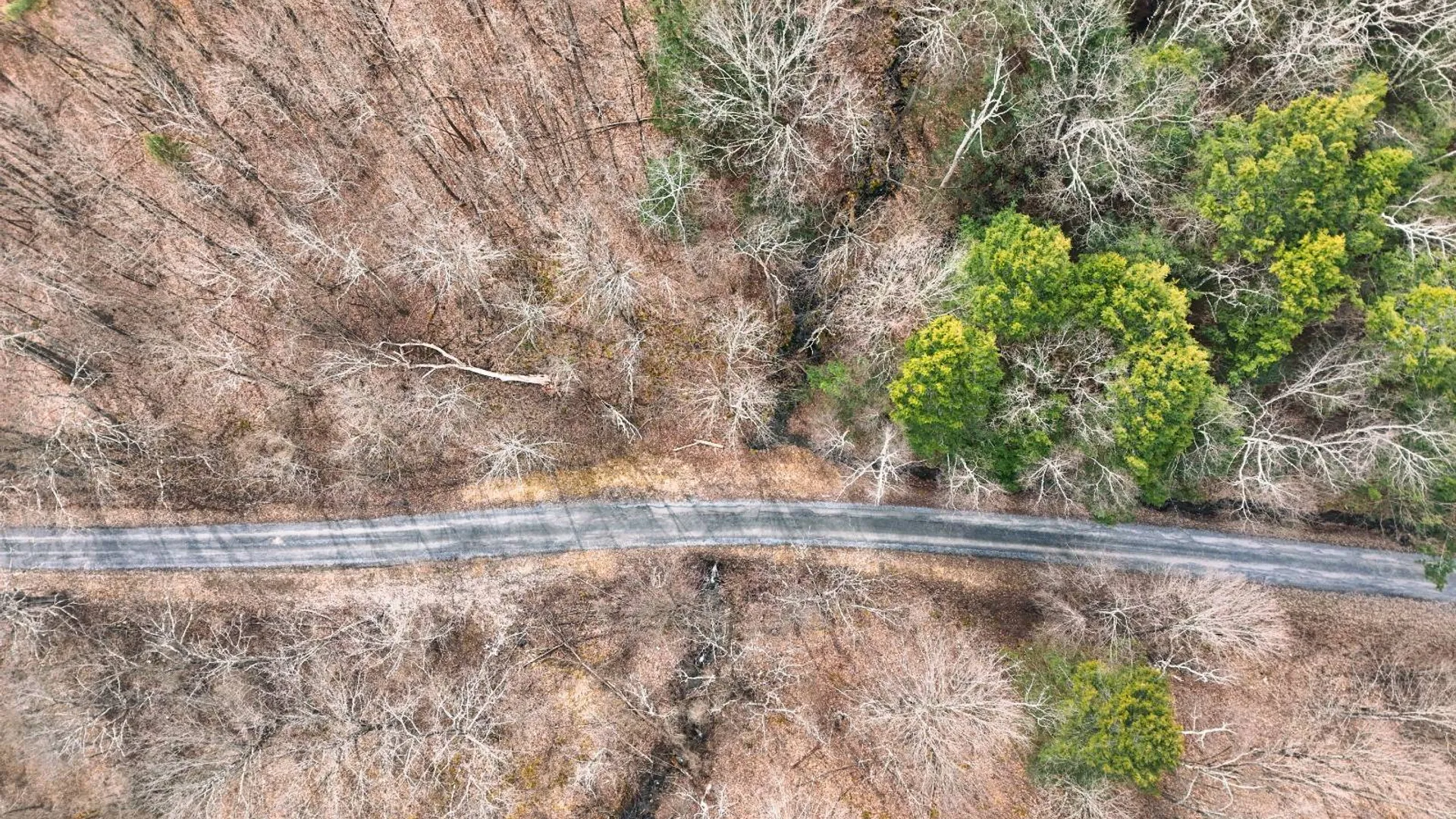 Property at 525 Meeghan Rd, Stamford, NY 12167 6