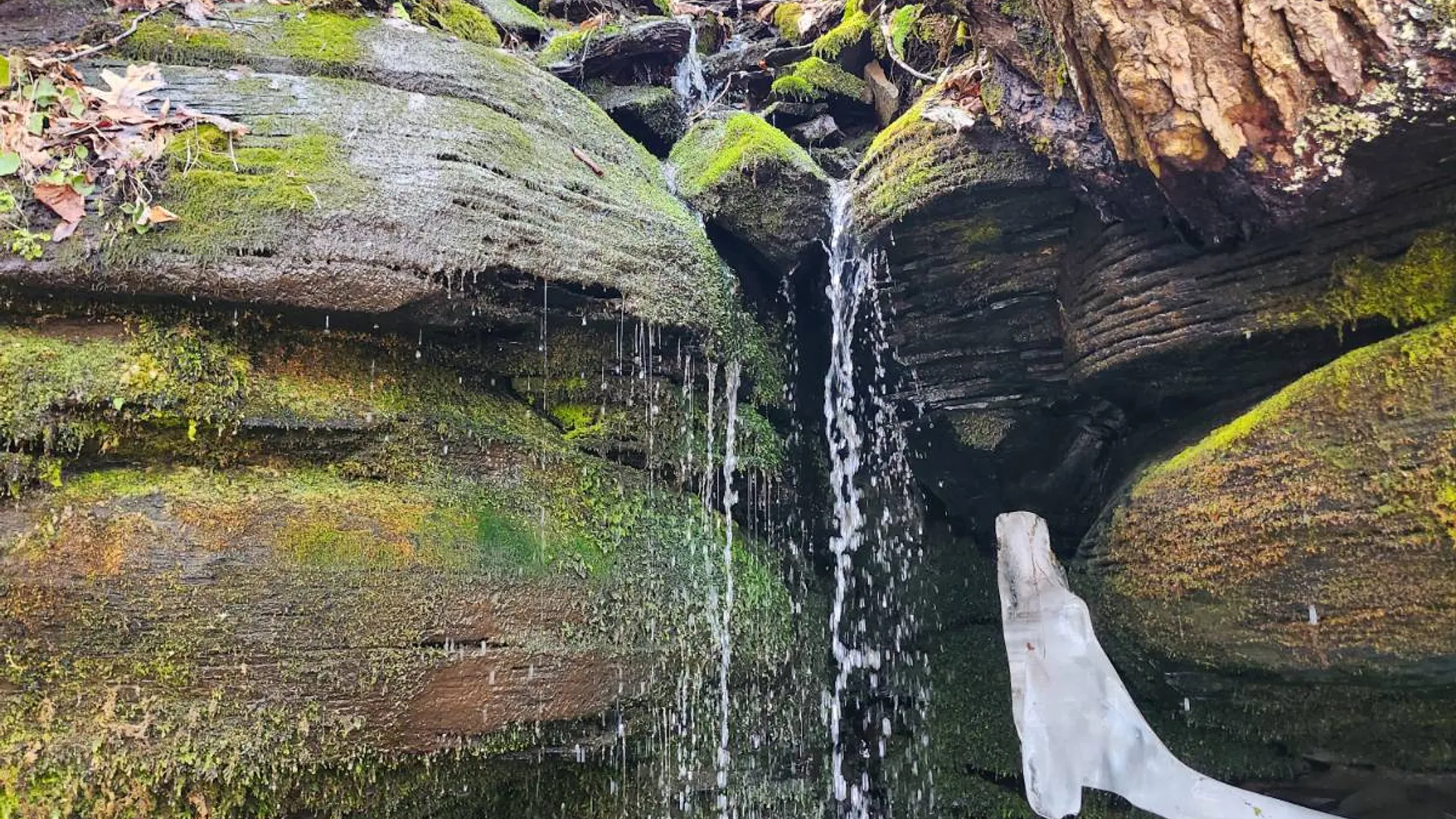 Property at 525 Meeghan Rd, Stamford, NY 12167 8