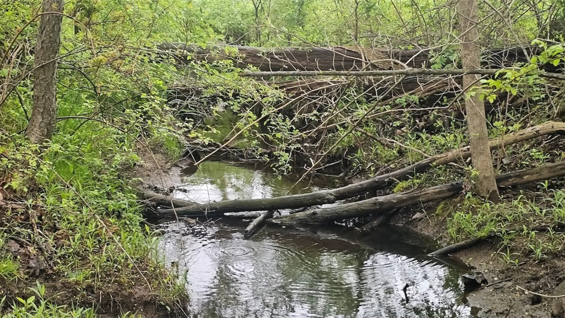 Property at Rotterdam Road, Sodus, NY 14551 10