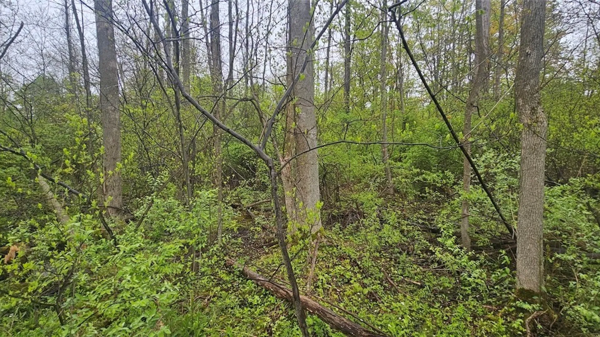 Property at Rotterdam Road, Sodus, NY 14551 14