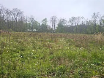 Rotterdam Road, Sodus, NY 14551