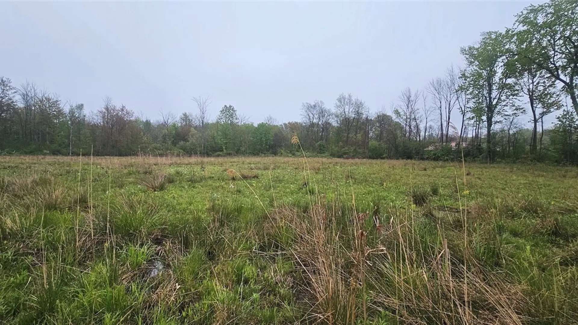Property at Rotterdam Road, Sodus, NY 14551 2