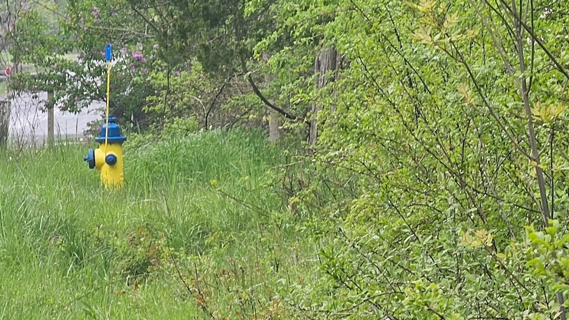 Property at Rotterdam Road, Sodus, NY 14551 21