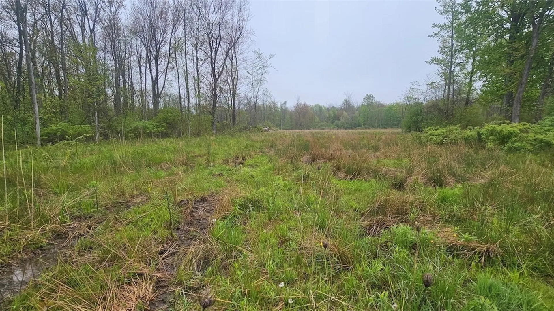 Property at Rotterdam Road, Sodus, NY 14551 23