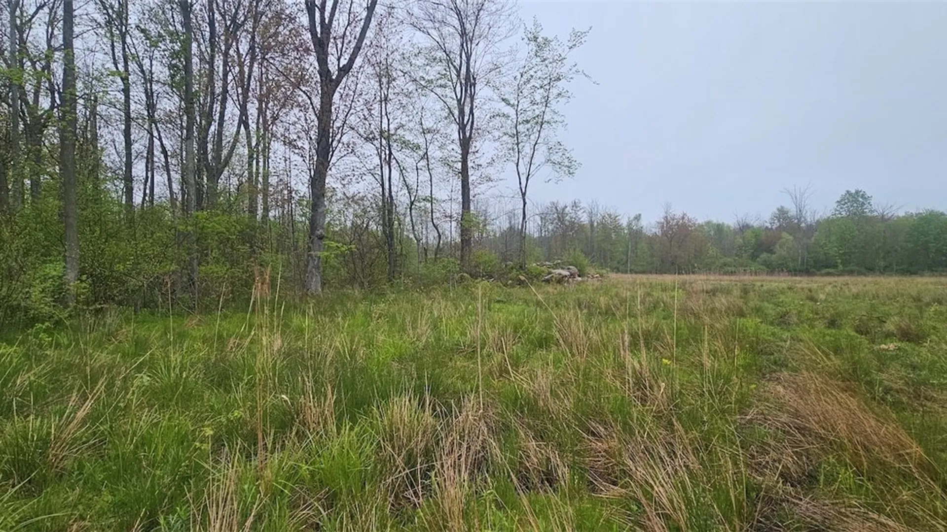 Property at Rotterdam Road, Sodus, NY 14551 24
