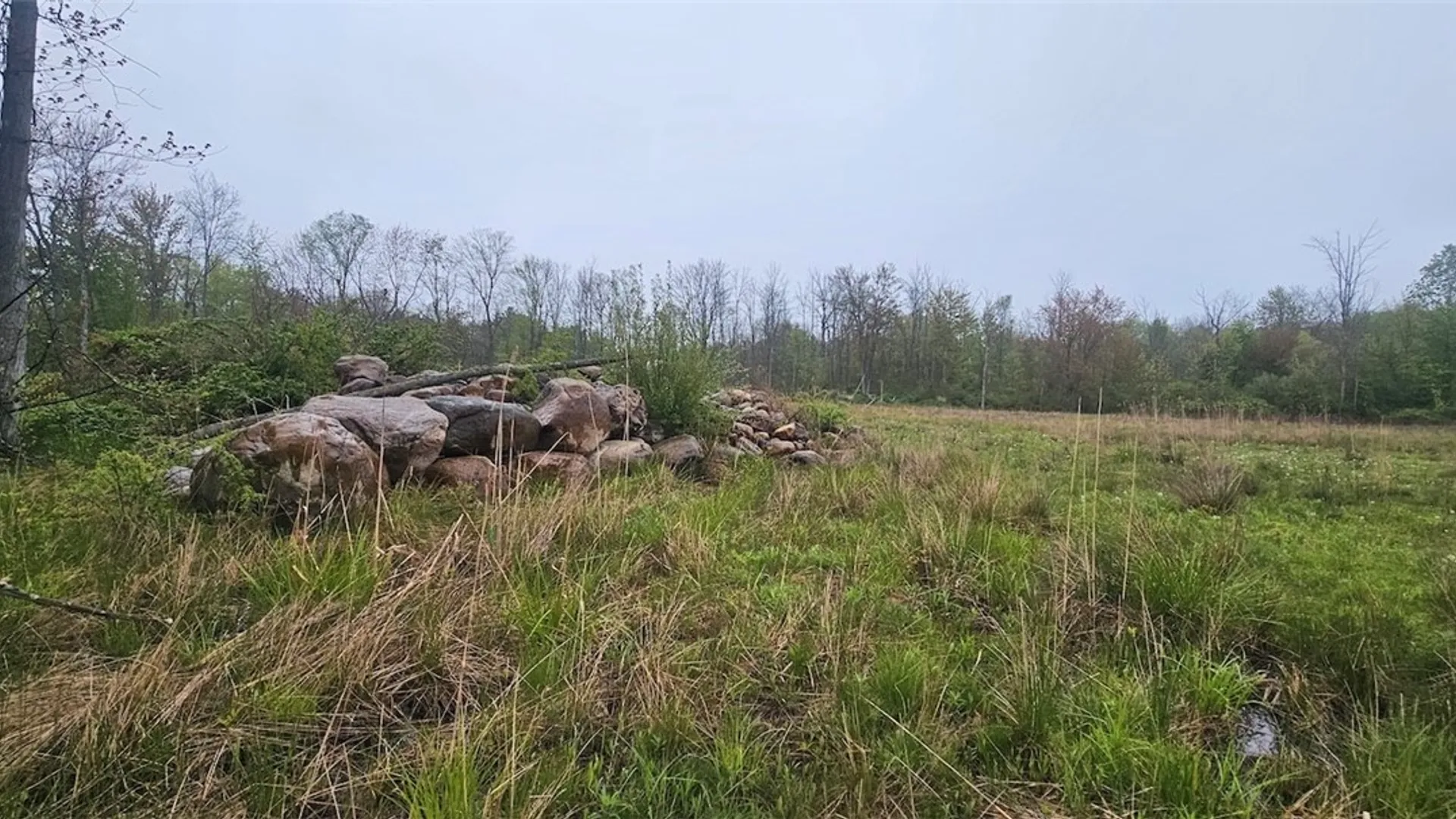 Property at Rotterdam Road, Sodus, NY 14551 5