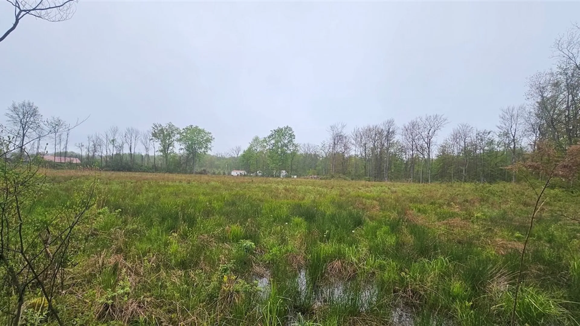 Property at Rotterdam Road, Sodus, NY 14551 8