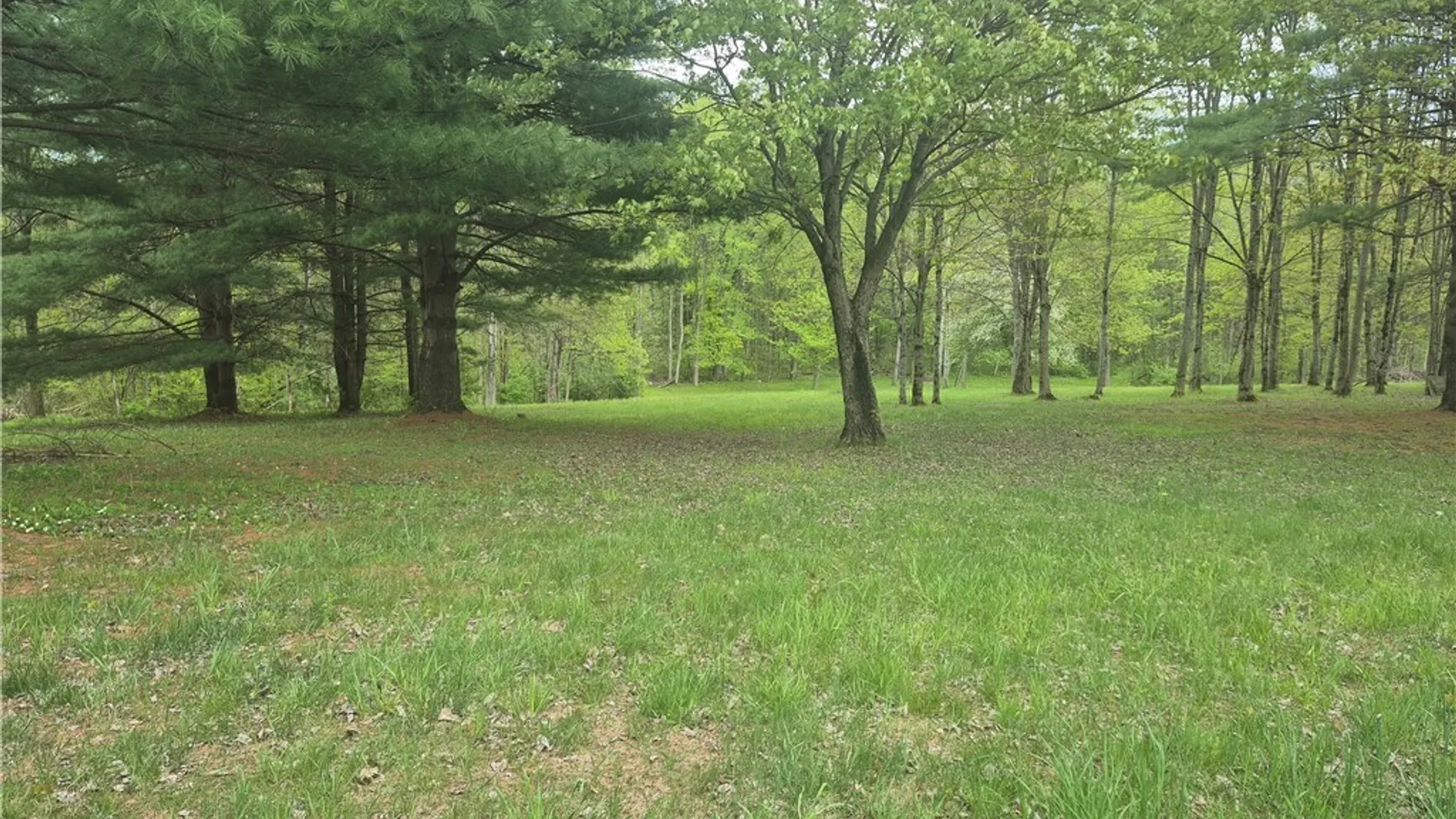 Property at 46 Craw Road, Palermo, NY 13114 35