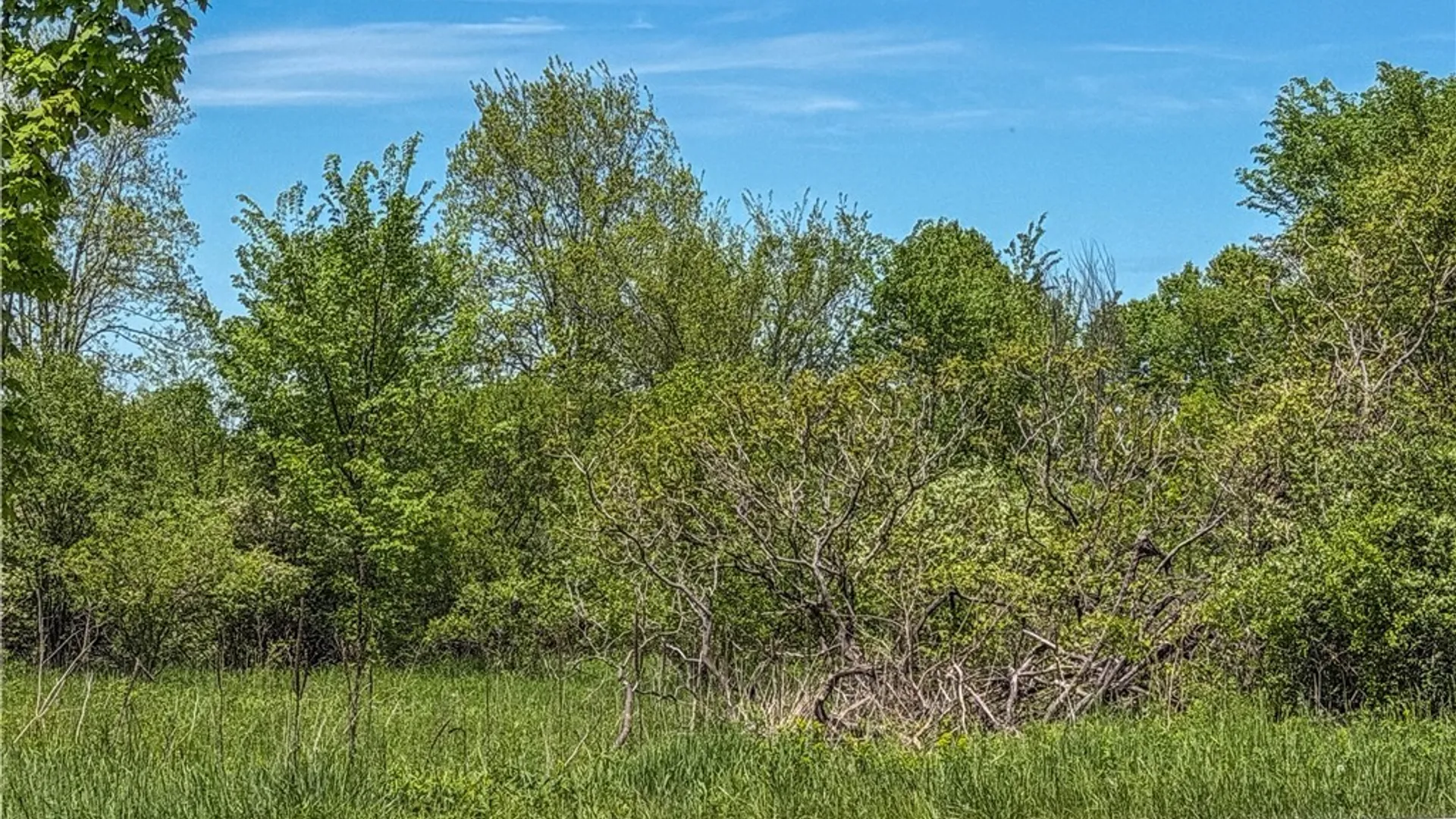 Property at Washington, Watertown Town, NY 13601 20