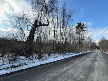 Property at L 8.06 Thayer Rd, Hartwick, NY 13348