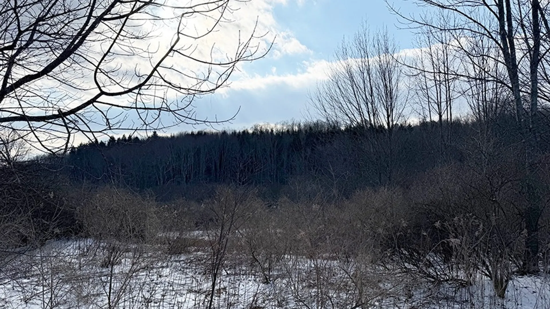 Property at L 8.06 Thayer Rd, Hartwick, NY 13348 2