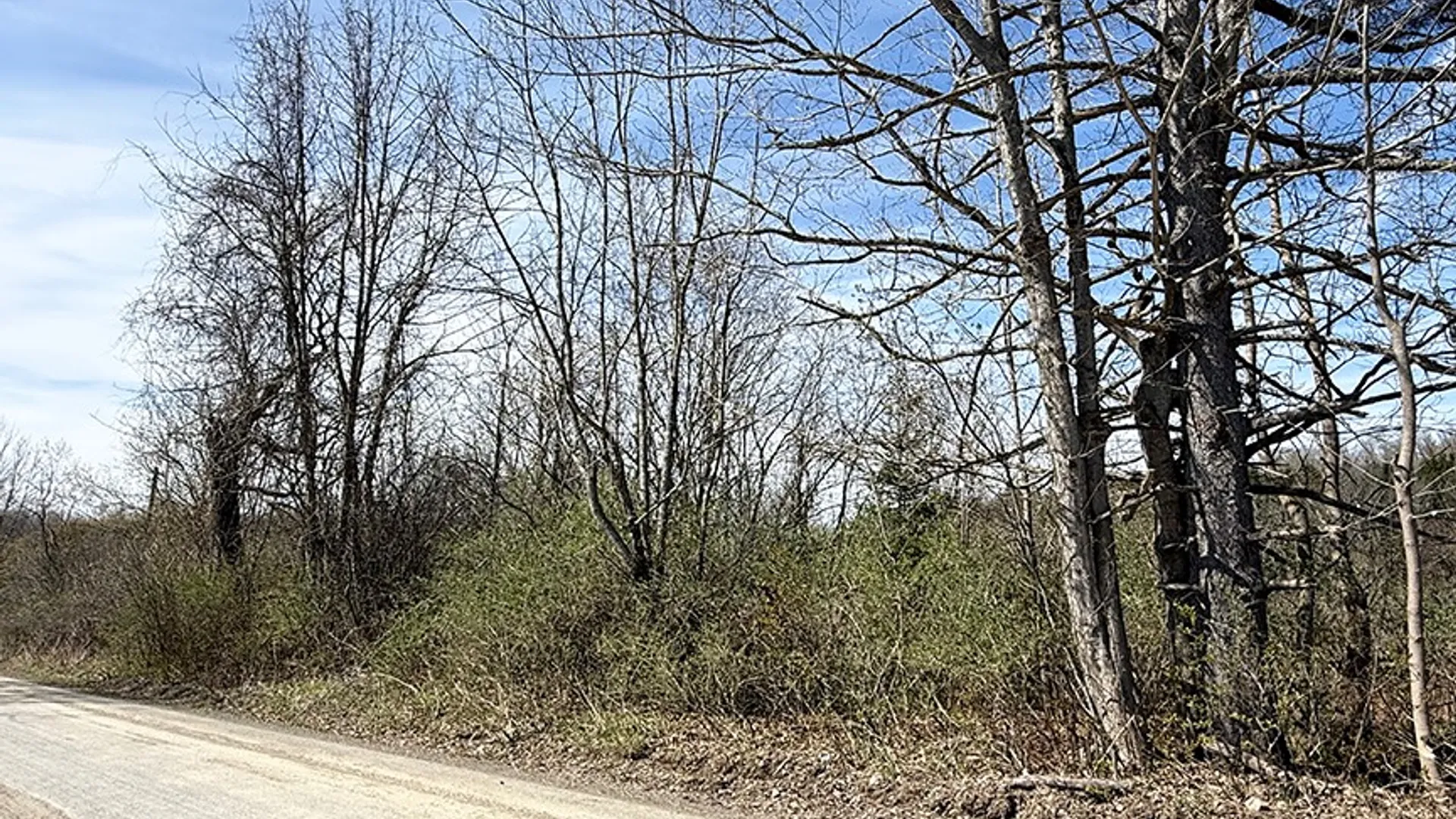 Property at L 8.06 Thayer Rd, Hartwick, NY 13348 3