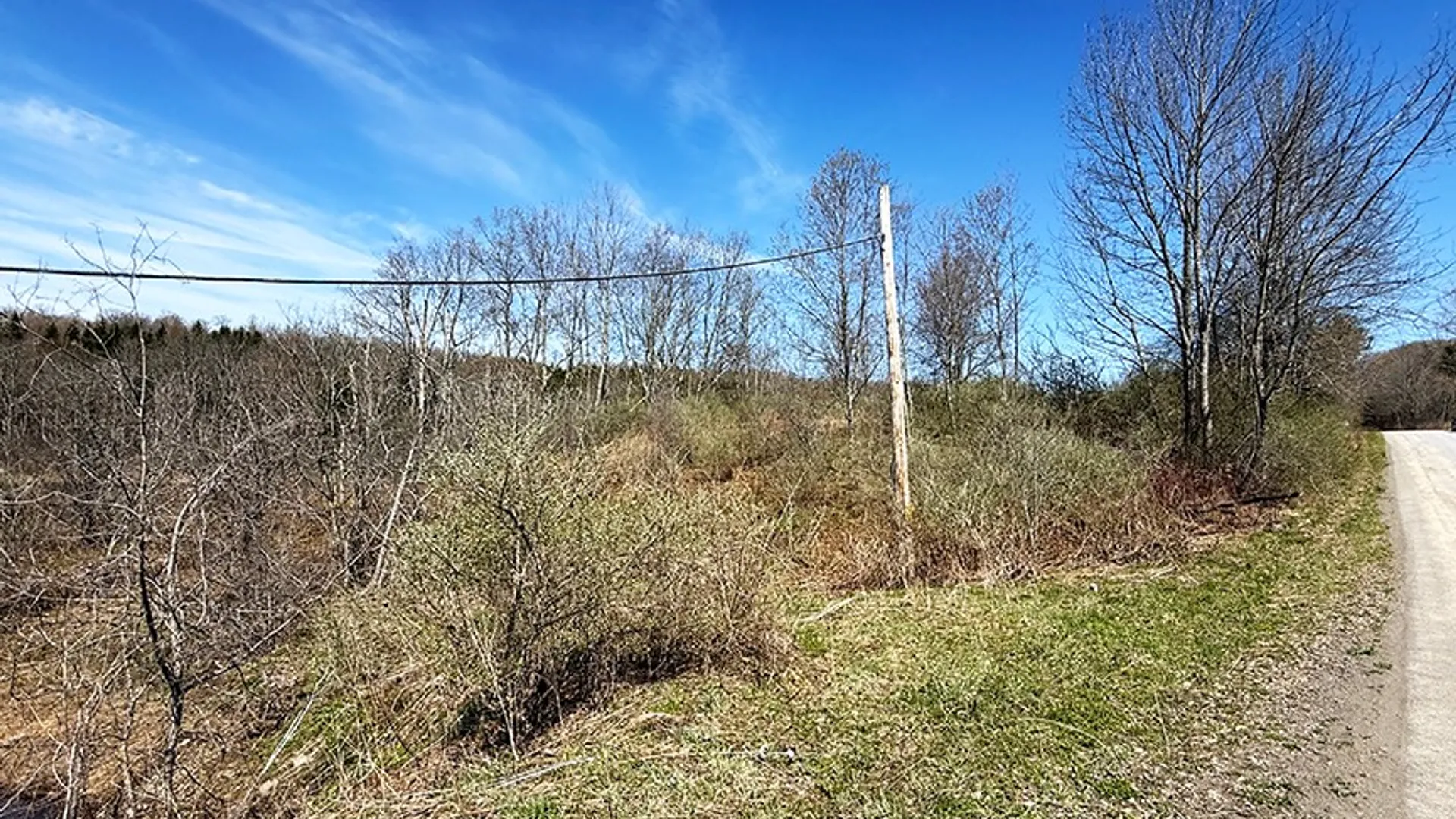 Property at L 8.06 Thayer Rd, Hartwick, NY 13348 4