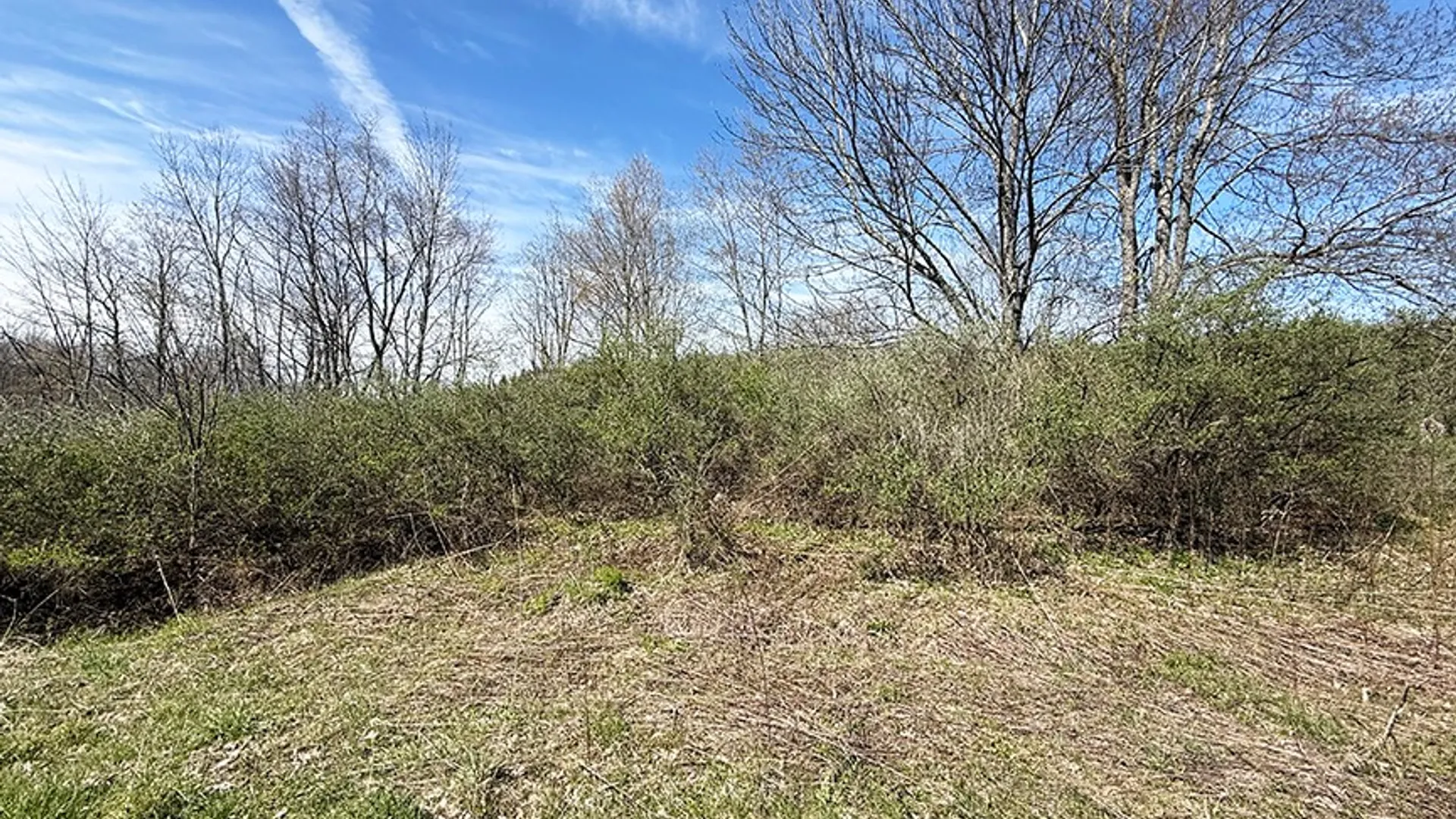 Property at L 8.06 Thayer Rd, Hartwick, NY 13348 5