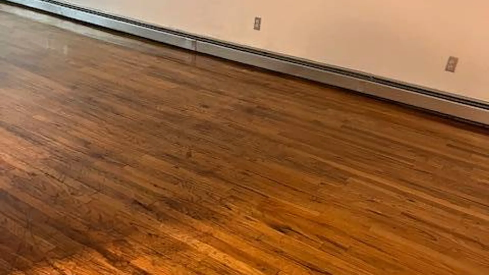 Property at 1610 Melville Street, Bronx, NY 10460 5