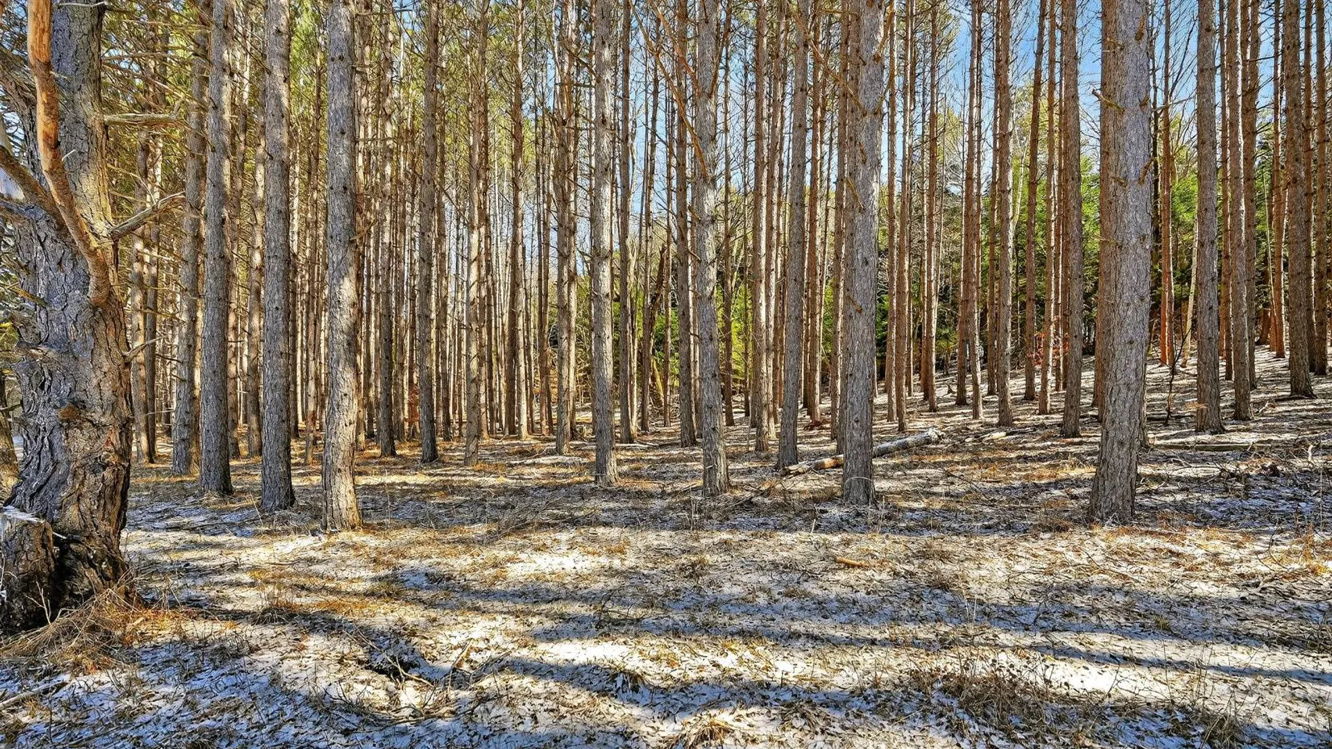 Property at 1112 Center Valley Rd, Worcester, NY 12197 73