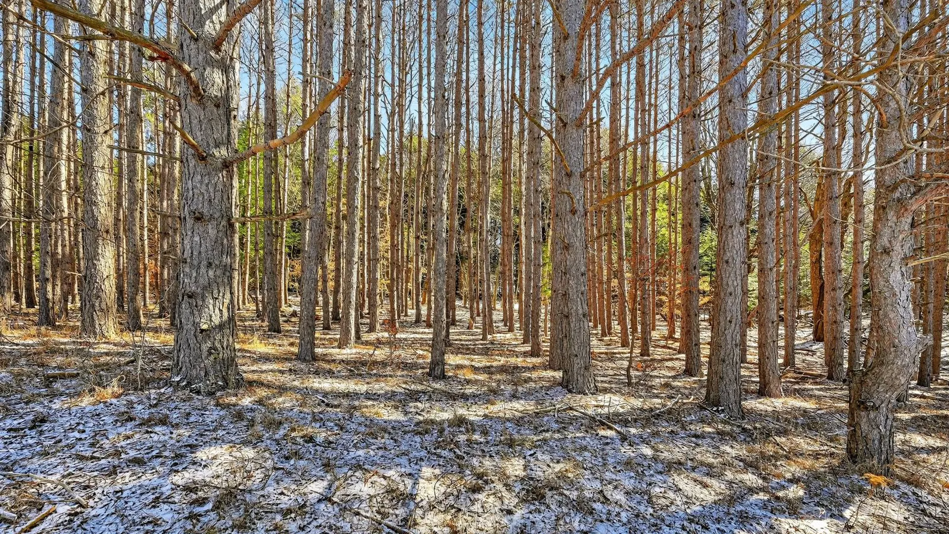 Property at 1112 Center Valley Rd, Worcester, NY 12197 74