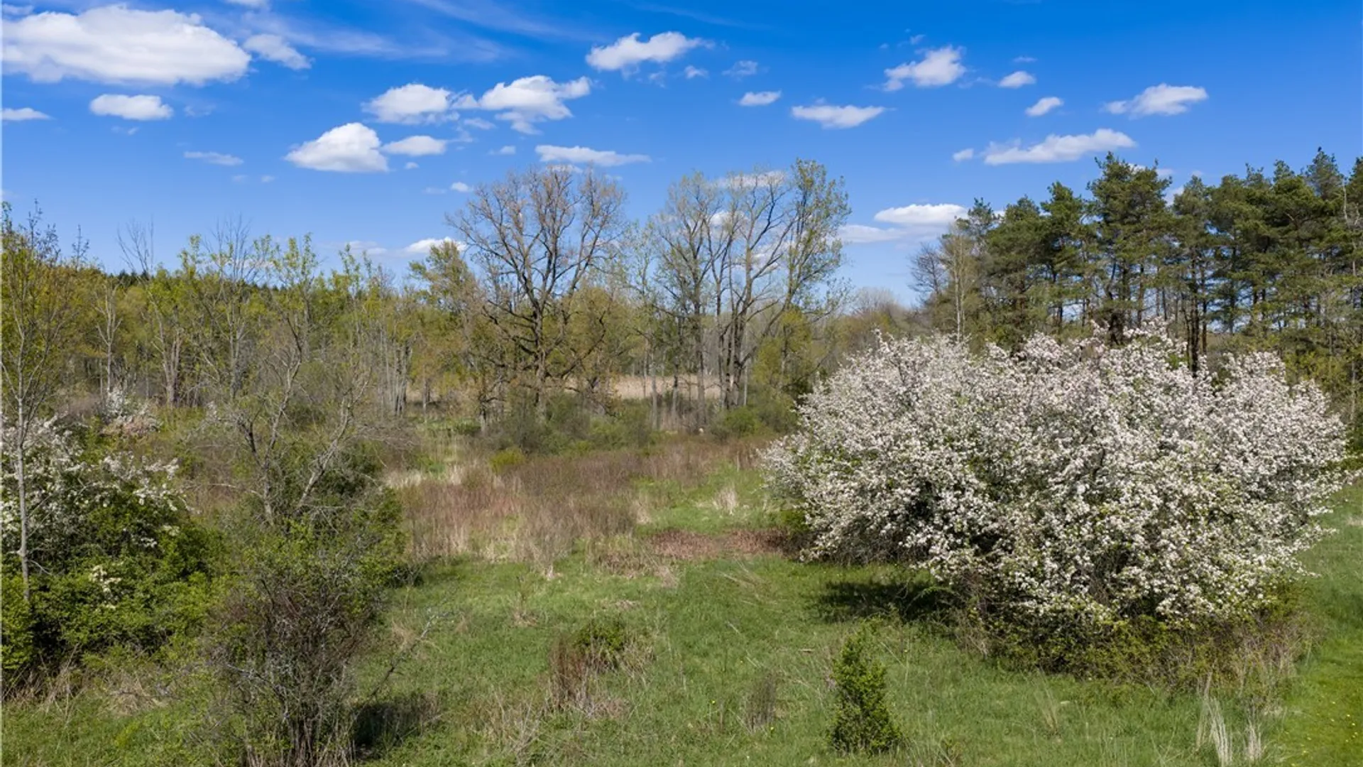 Property at E Lake Road, Skaneateles, NY 13152 7