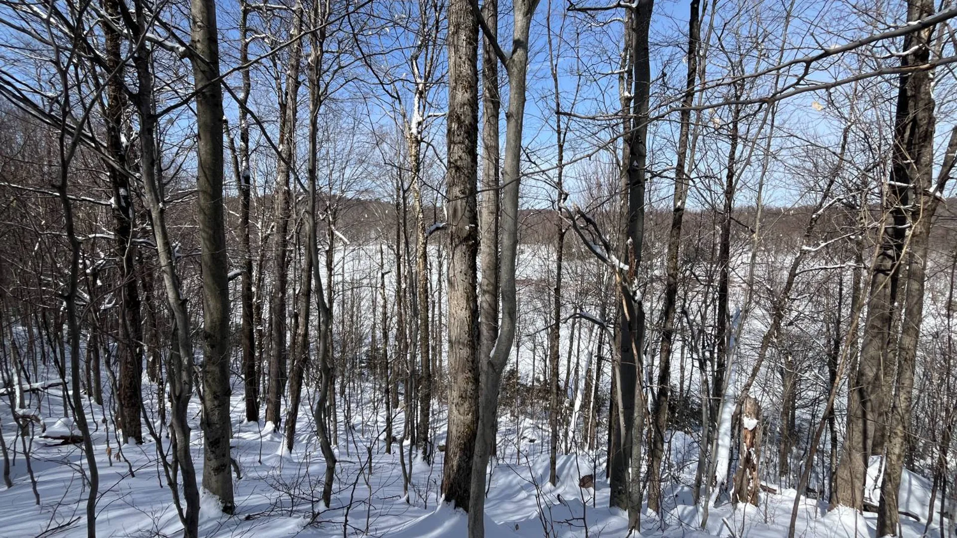 Property at Private off of Pickettville Rd, Parishville, NY 13676 11