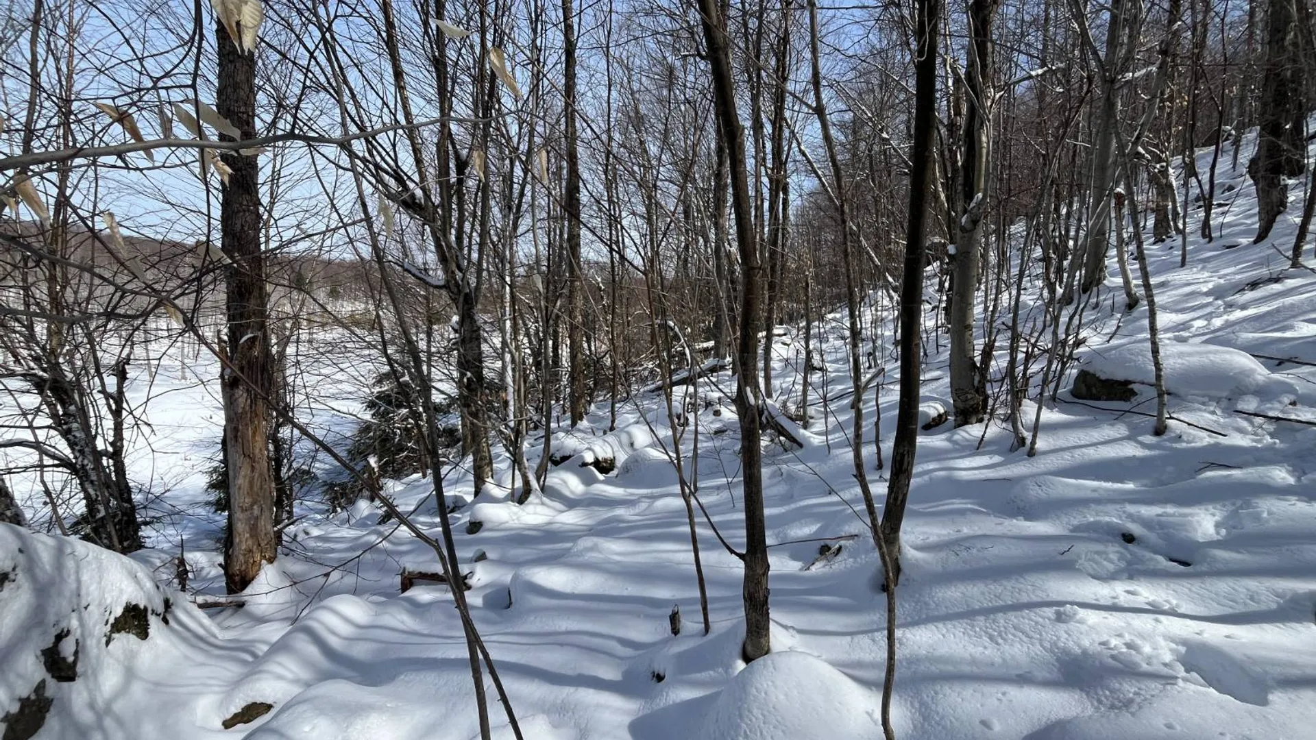 Property at Private off of Pickettville Rd, Parishville, NY 13676 12