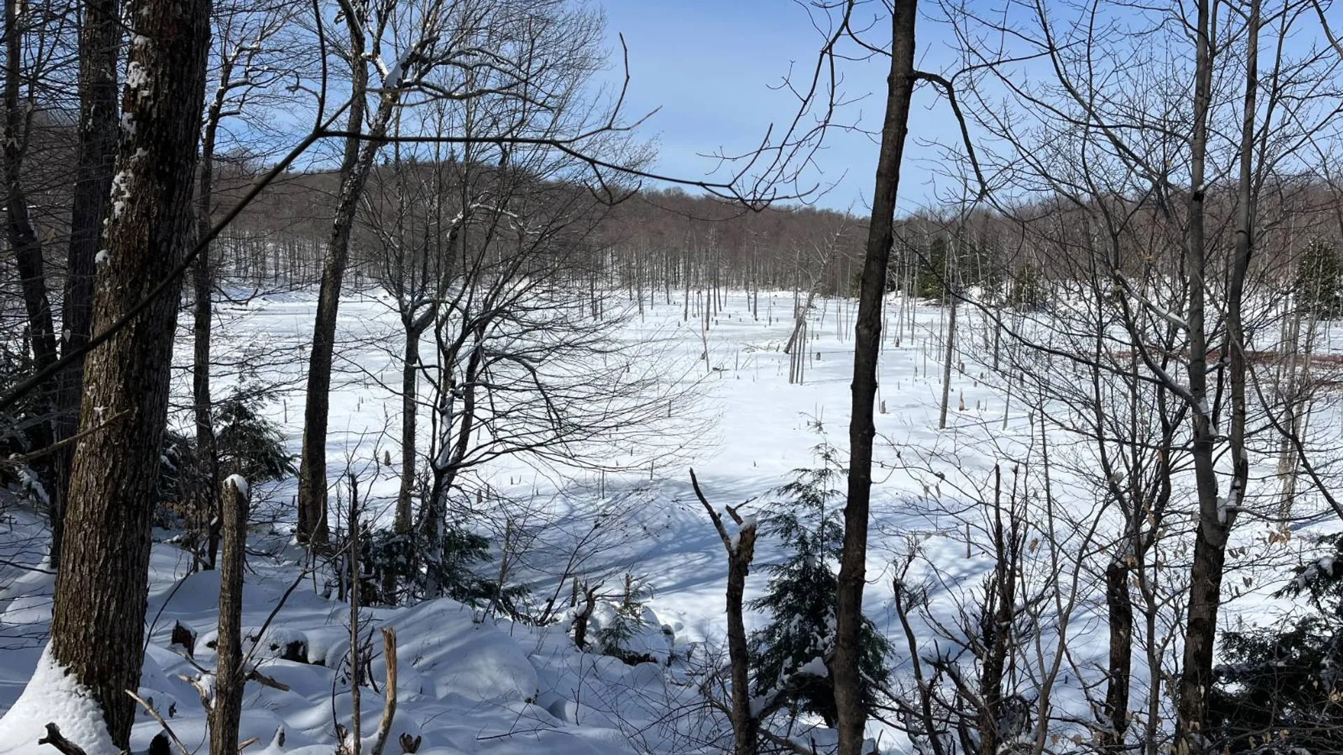 Property at Private off of Pickettville Rd, Parishville, NY 13676 13