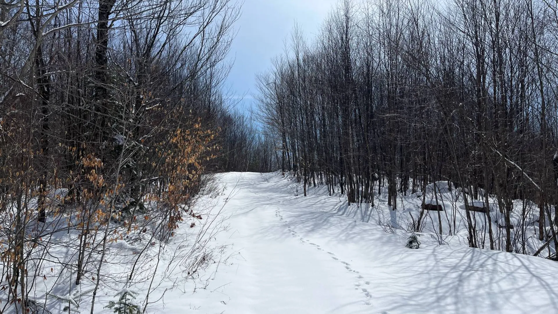 Property at Private off of Pickettville Rd, Parishville, NY 13676 17