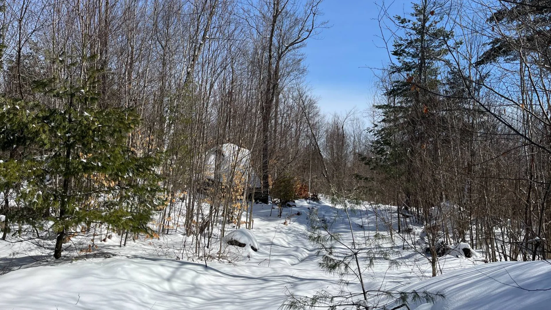 Property at Private off of Pickettville Rd, Parishville, NY 13676 18