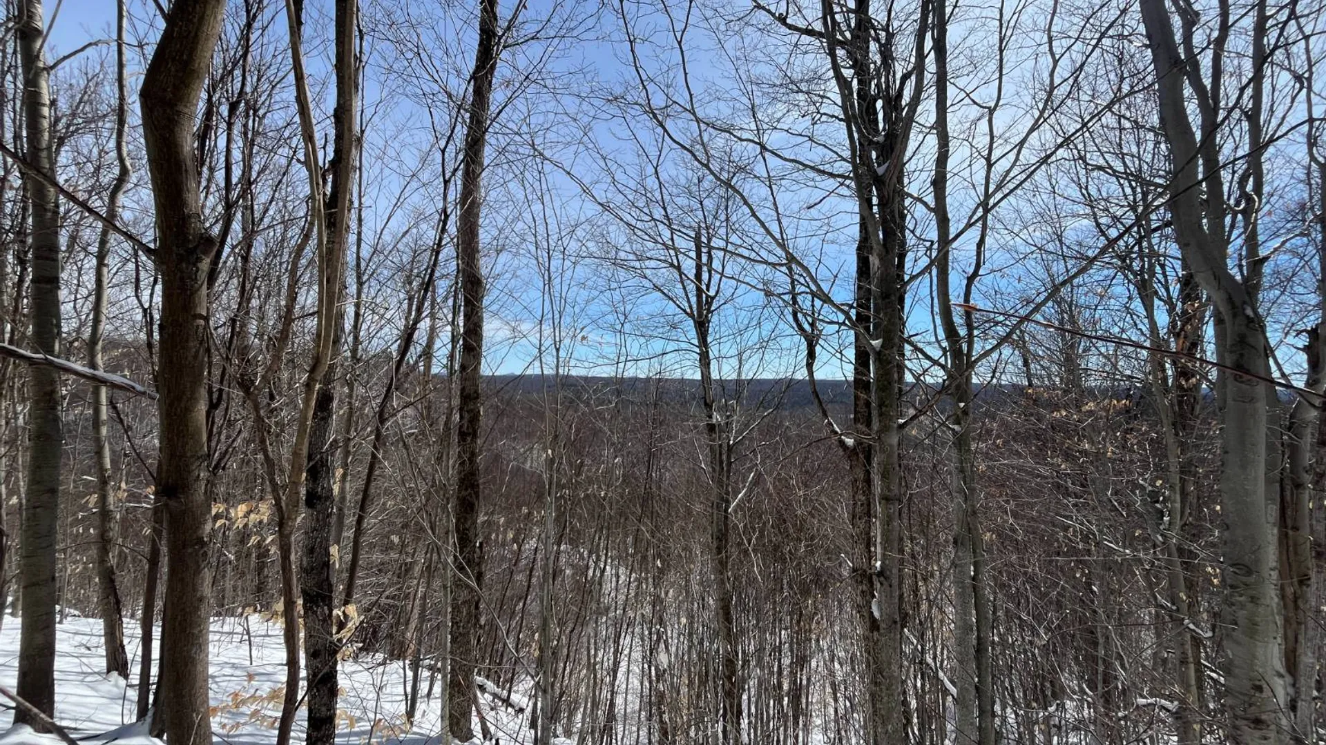 Property at Private off of Pickettville Rd, Parishville, NY 13676 3