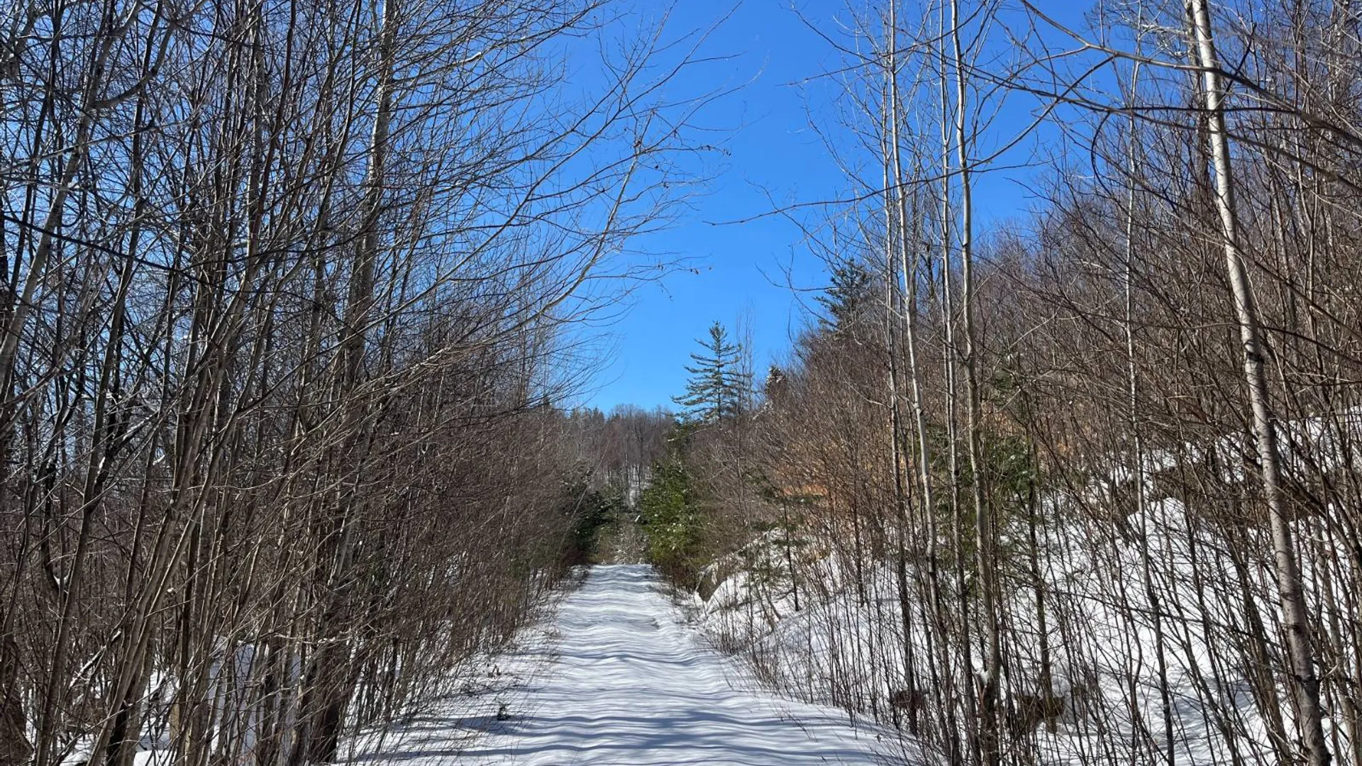 Property at Private off of Pickettville Rd, Parishville, NY 13676 33