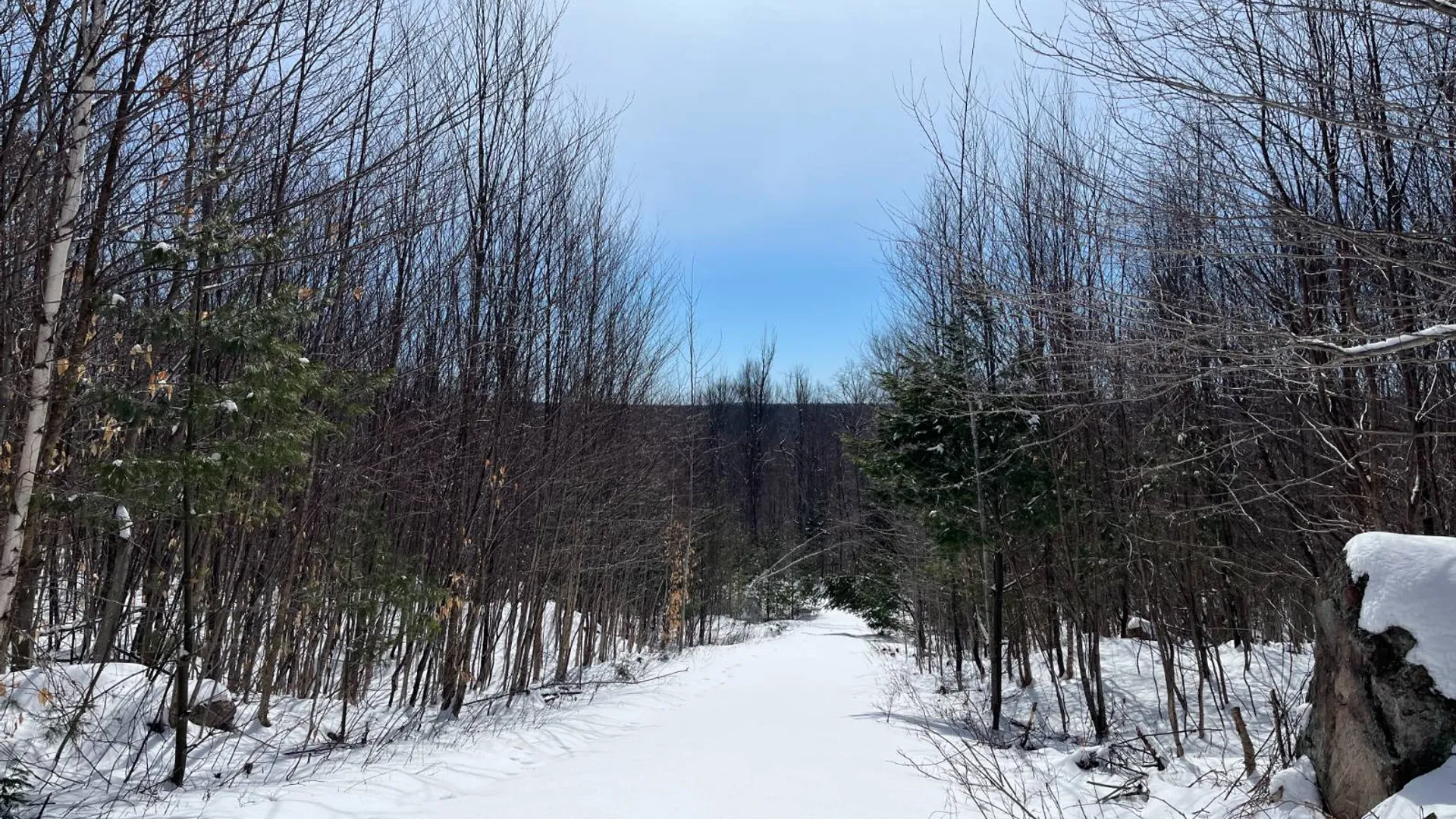 Property at Private off of Pickettville Rd, Parishville, NY 13676 34
