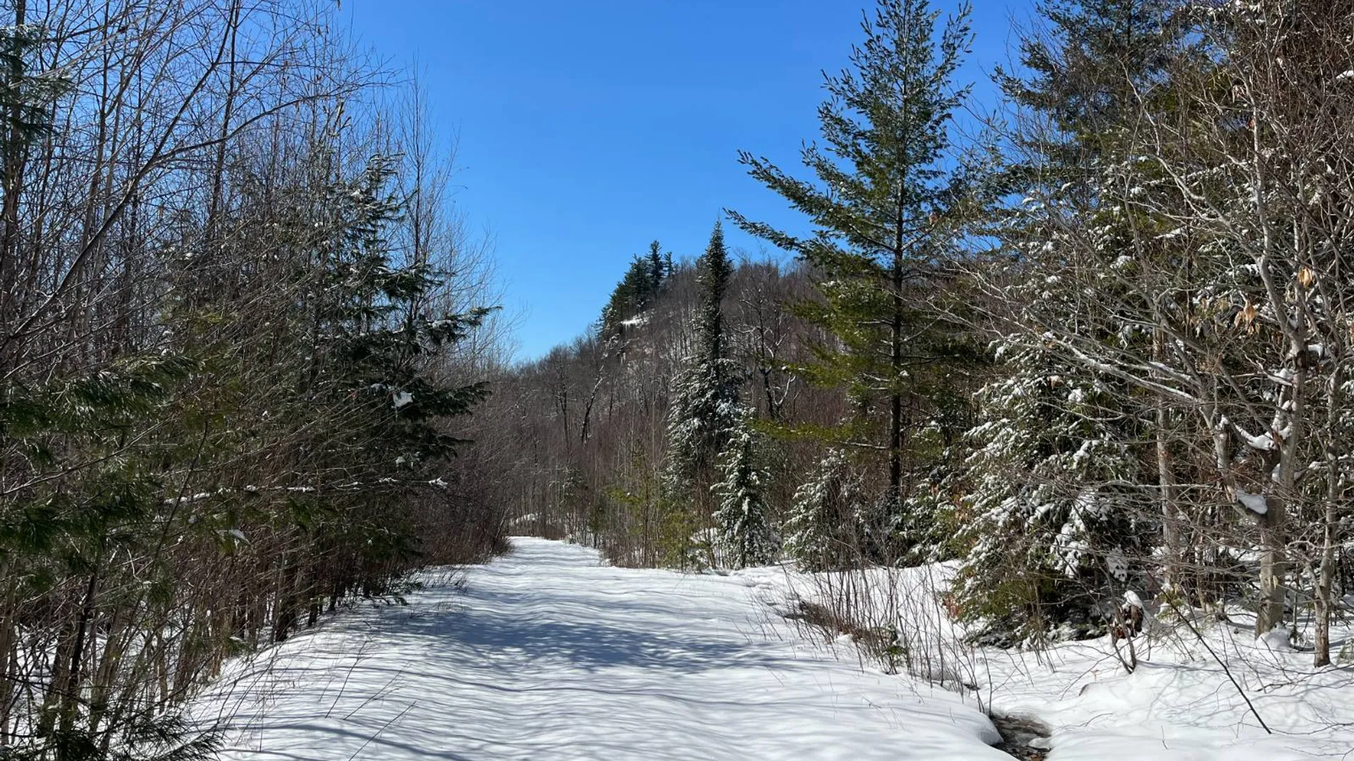 Property at Private off of Pickettville Rd, Parishville, NY 13676 35