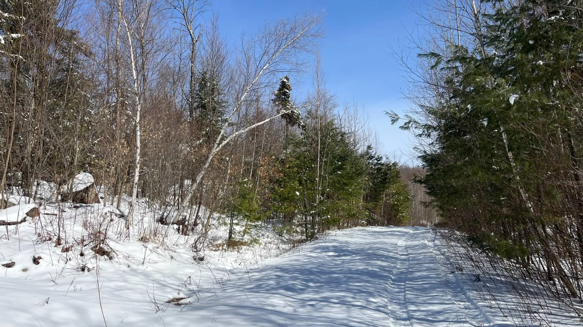 Property at Private off of Pickettville Rd, Parishville, NY 13676 36