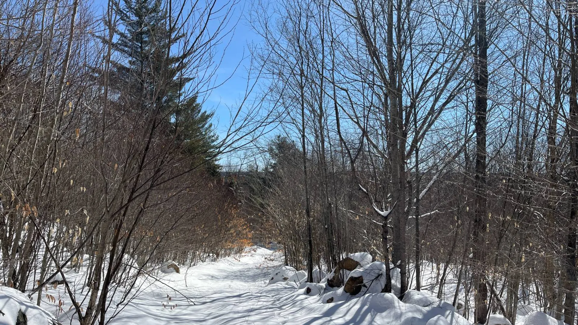 Property at Private off of Pickettville Rd, Parishville, NY 13676 37