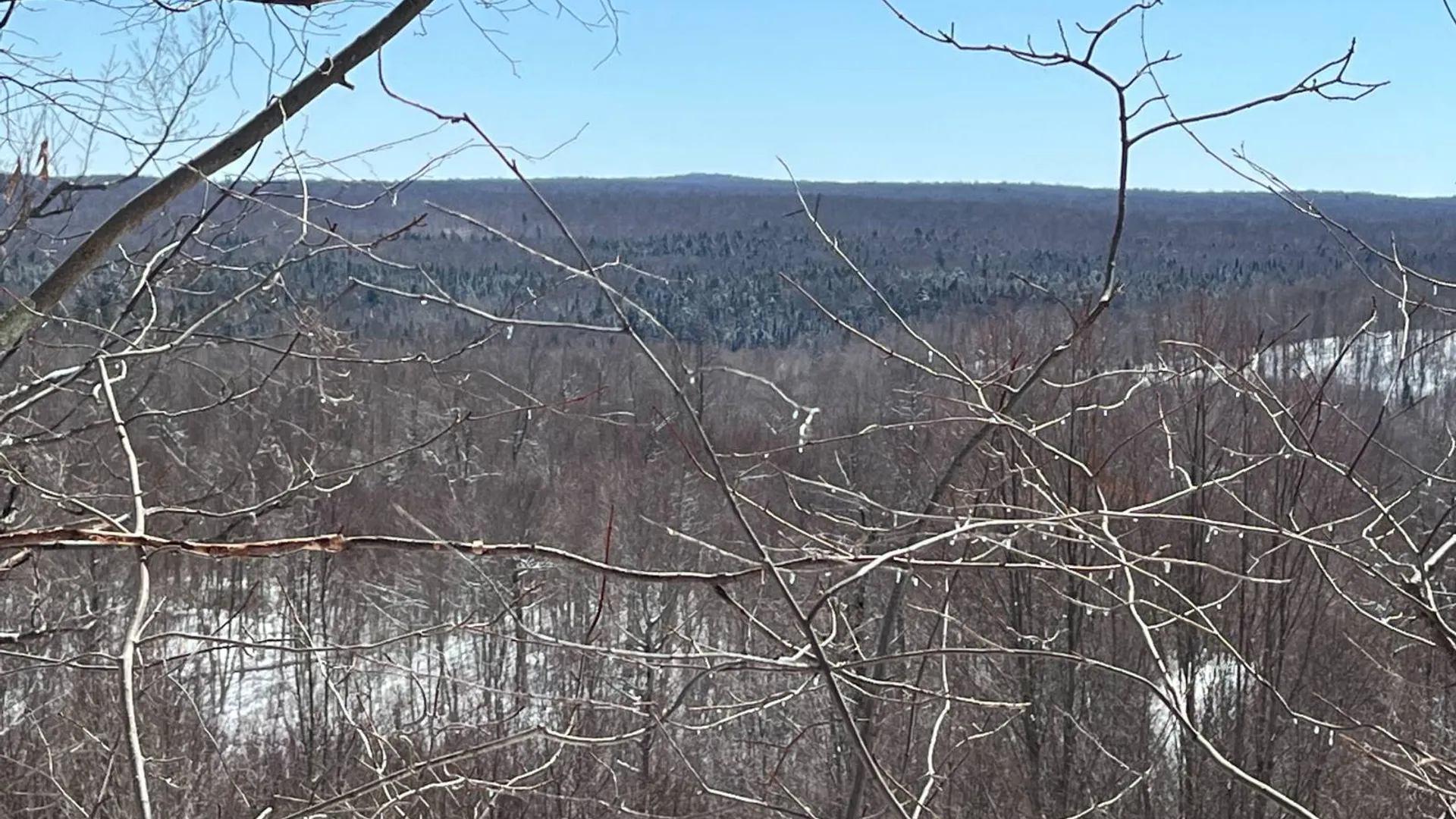 Property at Private off of Pickettville Rd, Parishville, NY 13676 5