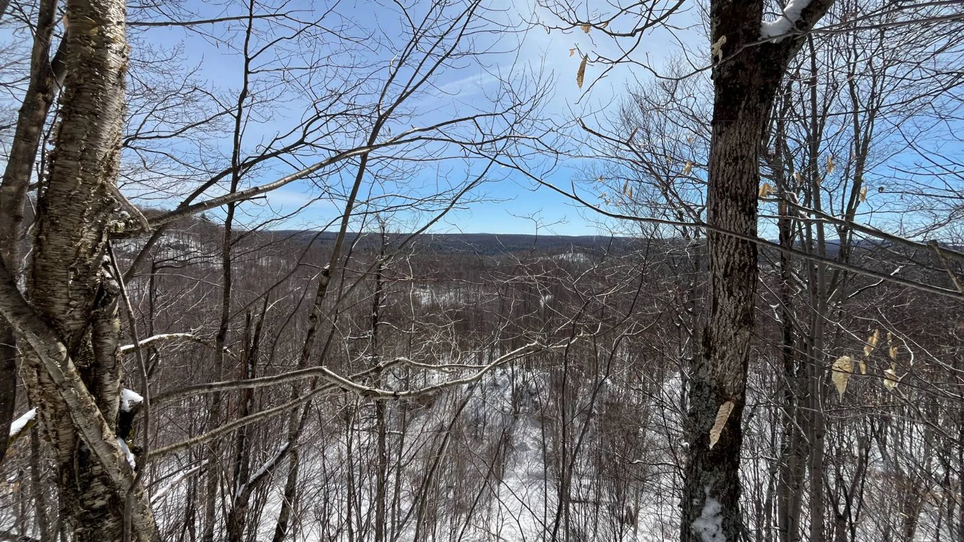 Property at Private off of Pickettville Rd, Parishville, NY 13676 6