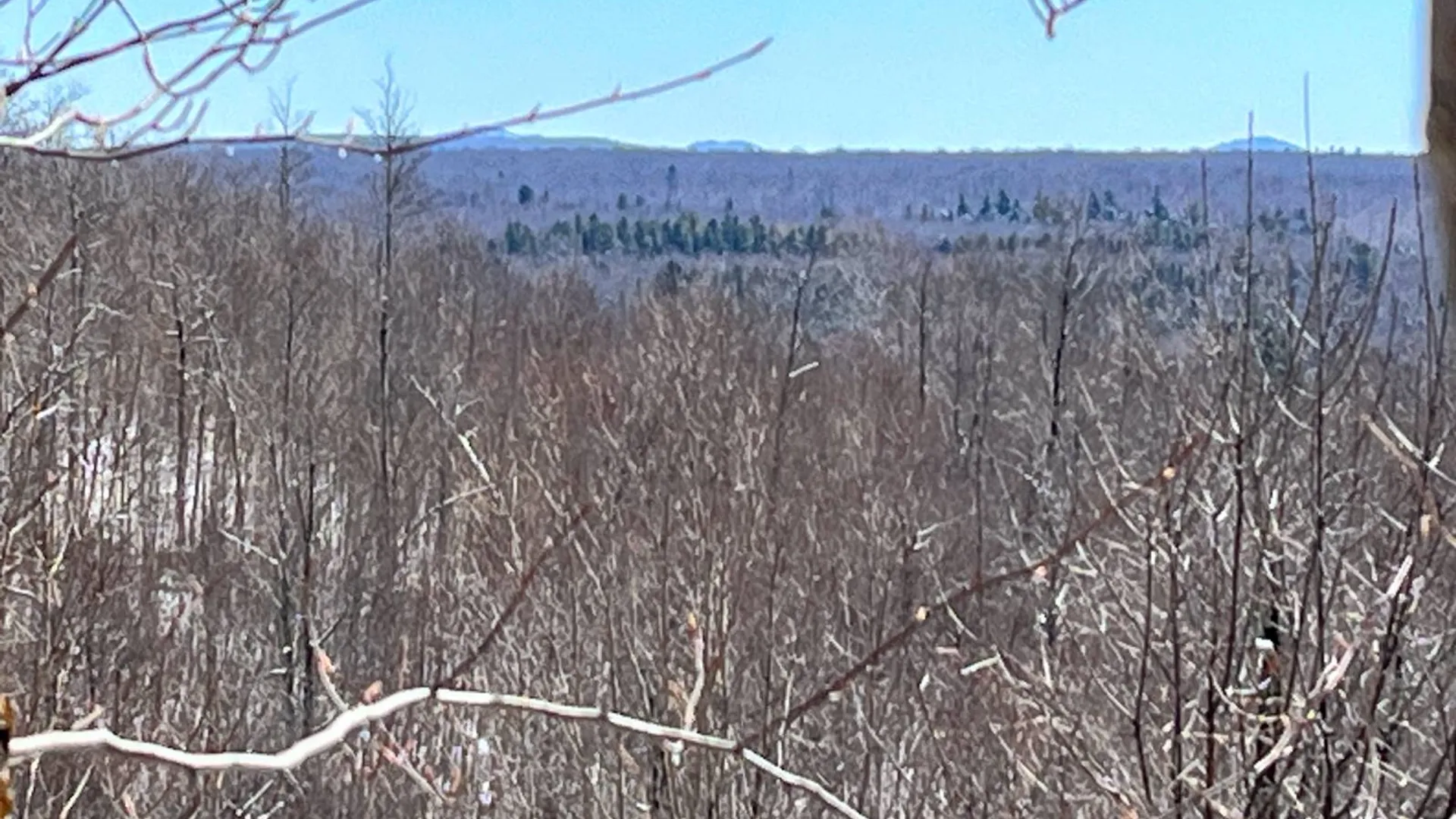 Property at Private off of Pickettville Rd, Parishville, NY 13676 7