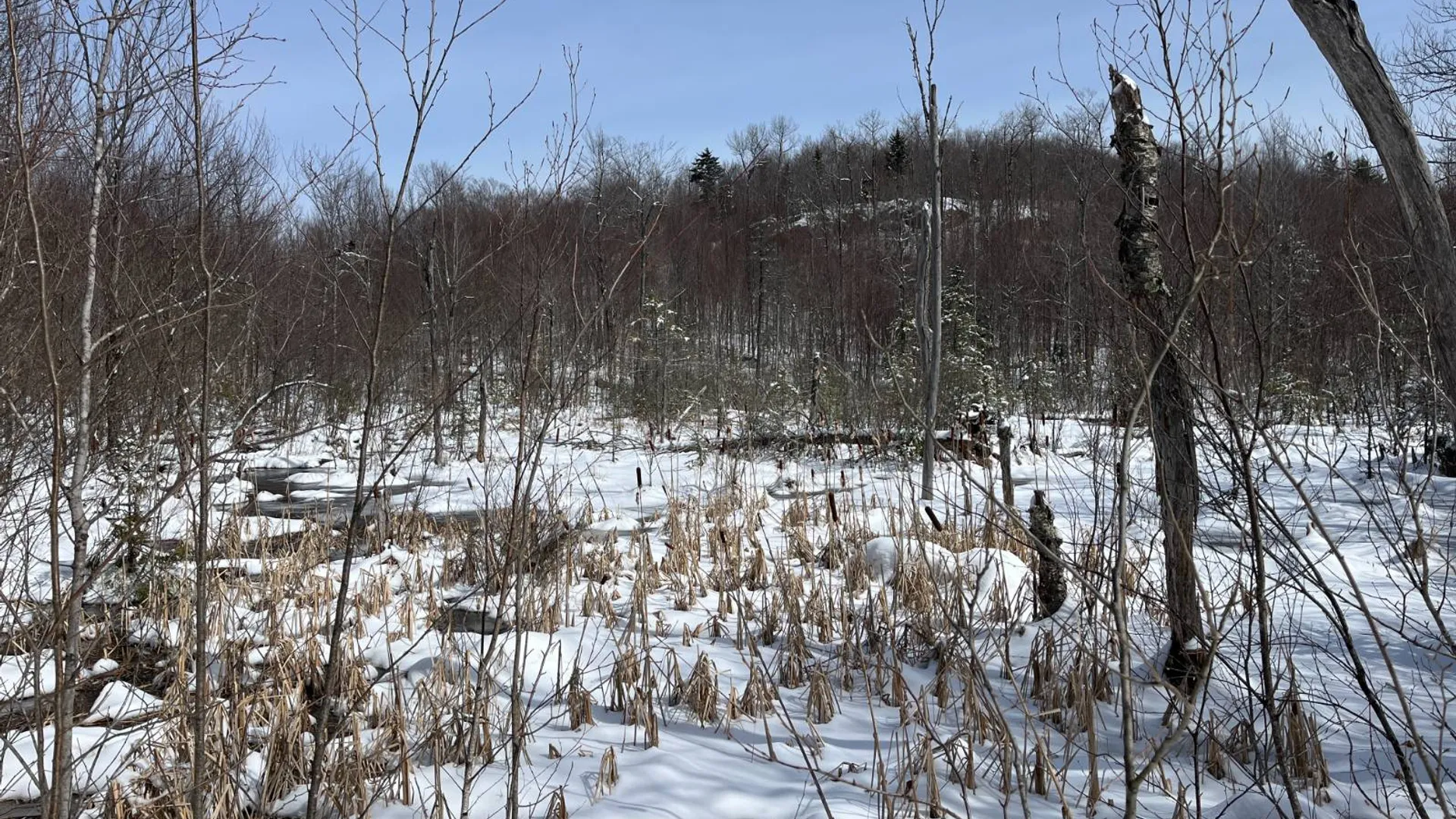 Property at Private off of Pickettville Rd, Parishville, NY 13676 9