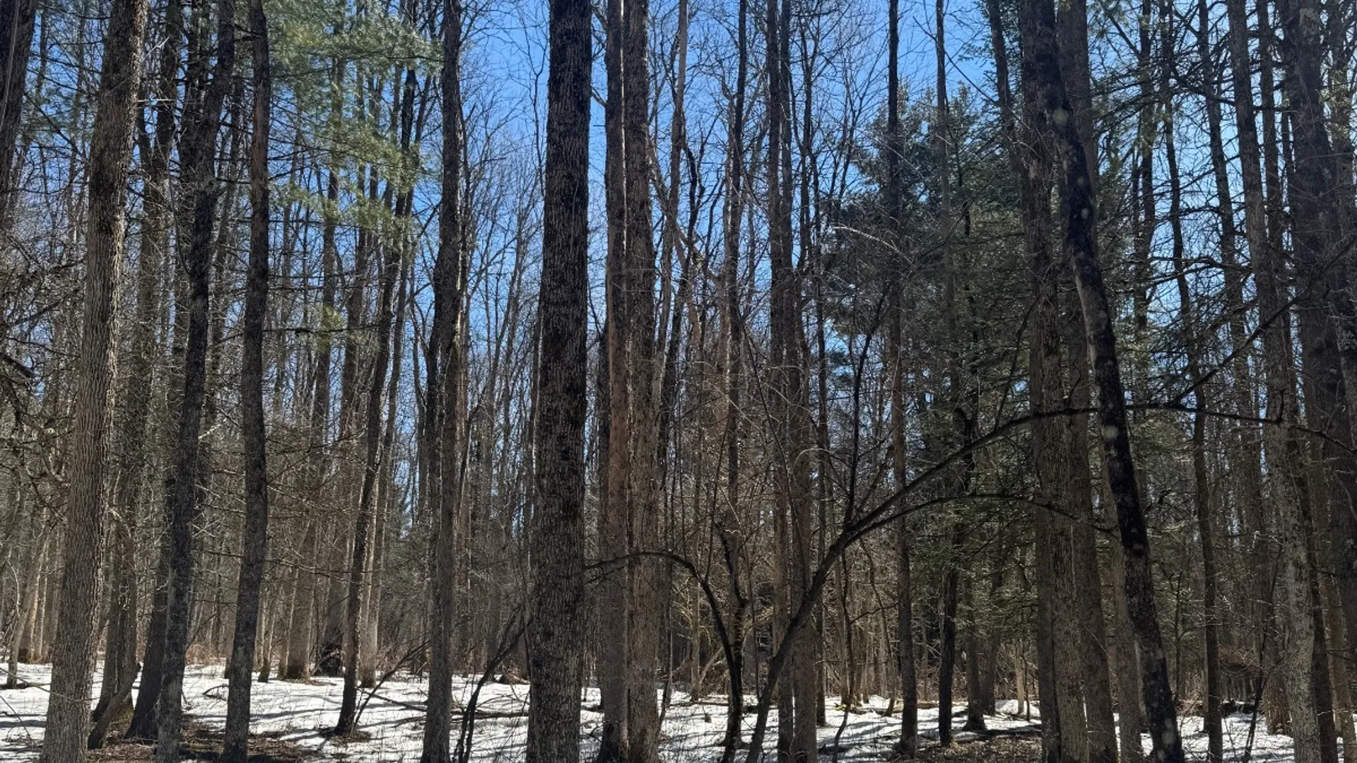Property at 0 Keating Road, Fly Creek, NY 13337 10